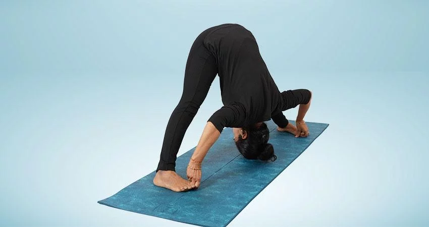 Wide Legged Forward Bend D - Prasaritta Padottanasana D