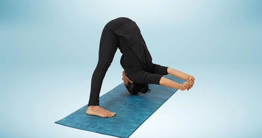 Wide Legged Forward Bend C - Prasaritta Padottanasana C