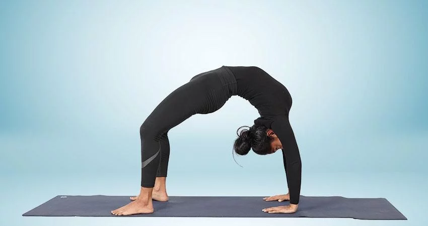 Wheel Pose - Chakrasana | Bodhi School of Yoga