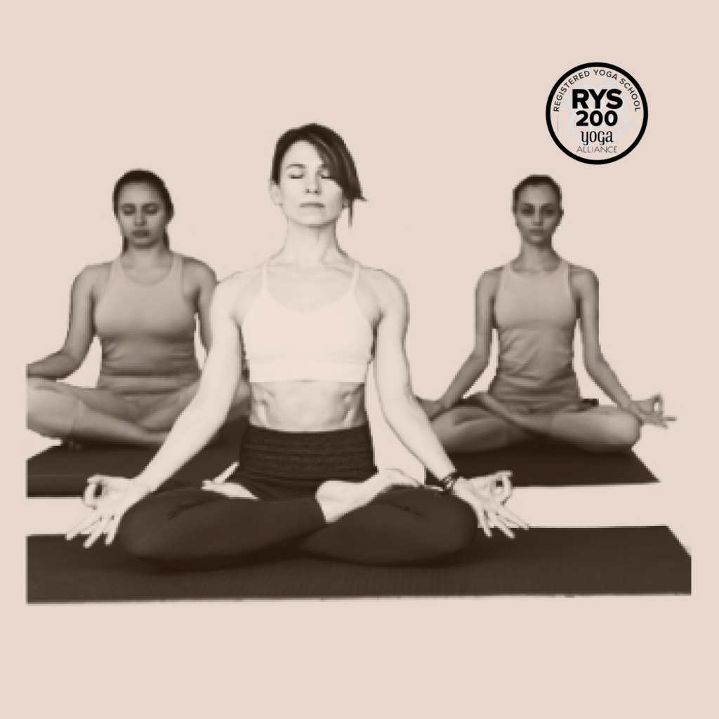 Online Aerial Yoga Teacher Training Course